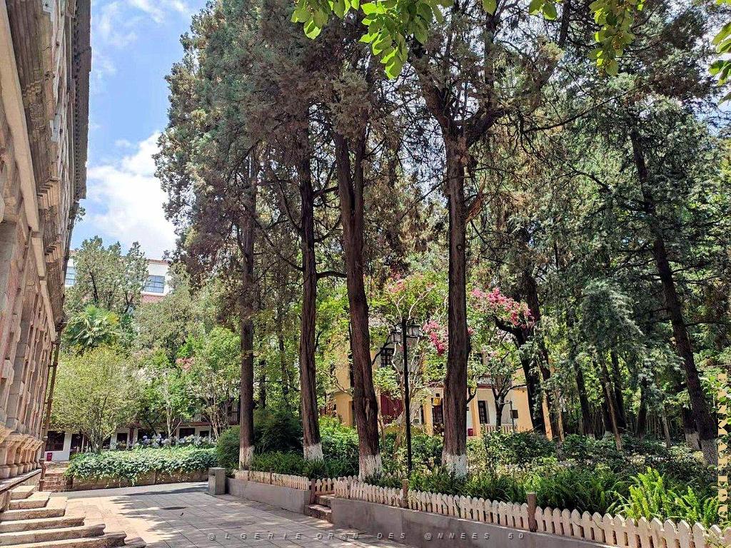Kunming - Universite du Yunnan (17).jpg